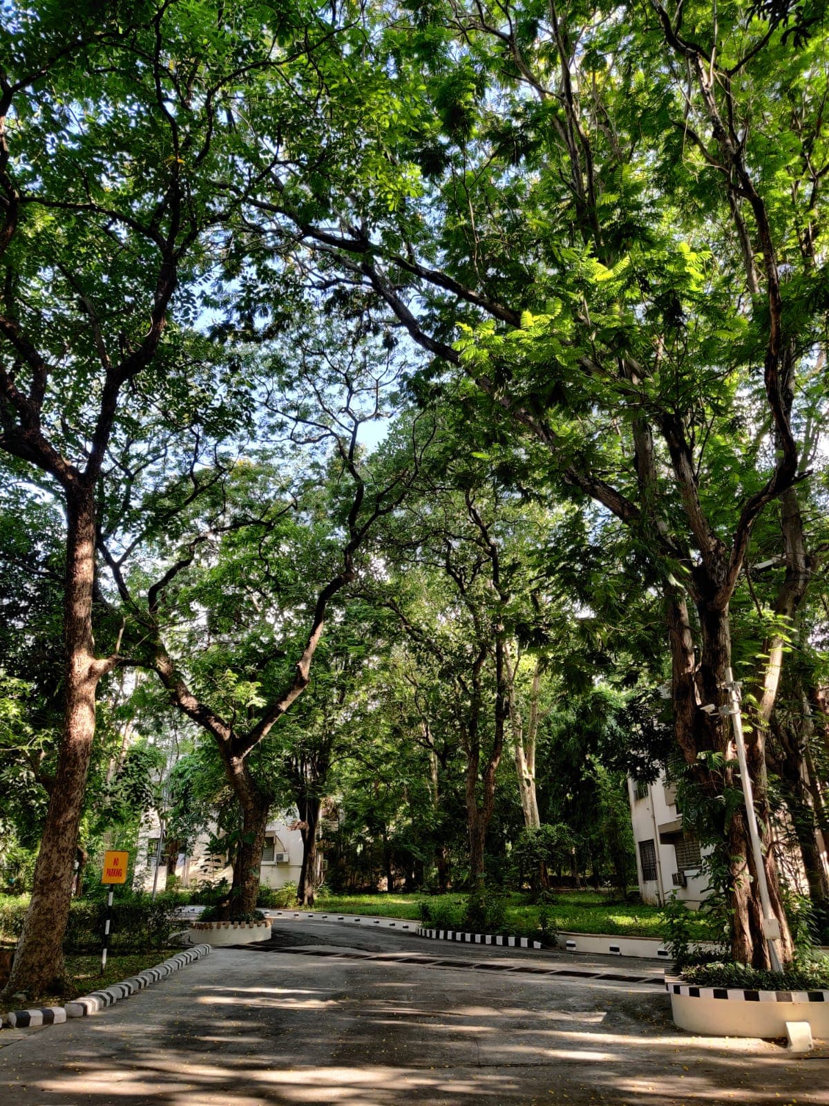 XLRI Jamshedpur Campus and infrastructure photo 6